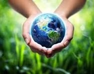 The Environment
